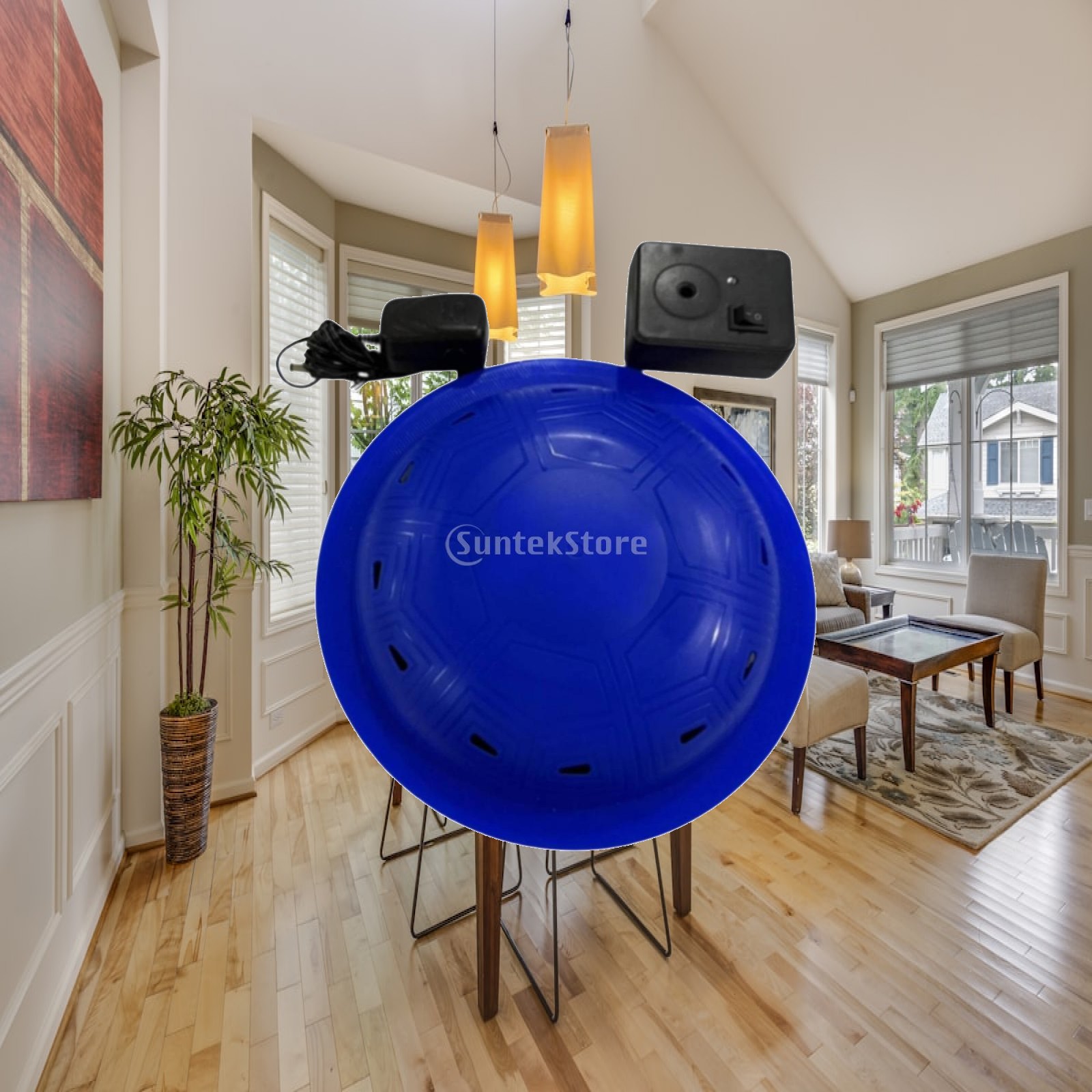 High Decibel Floating Pool Ala - Pool Alarm Float recension och pris